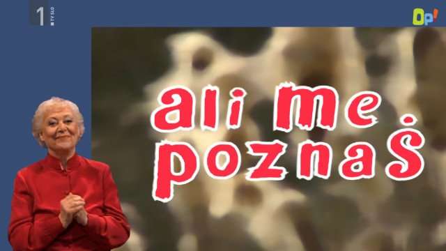 Ali me poznaš: Jaz sem hrast Zgodbe iz školjke