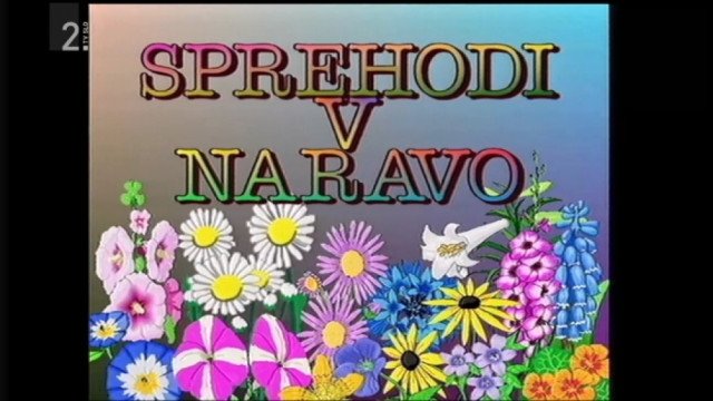 Zgodbe iz školjke: Sprehodi v naravo: Drevo raste