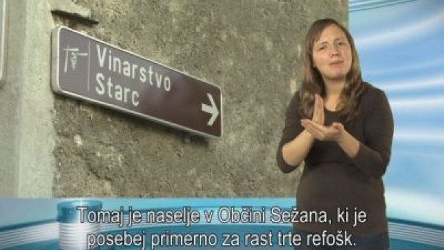Vinarstvo Starc