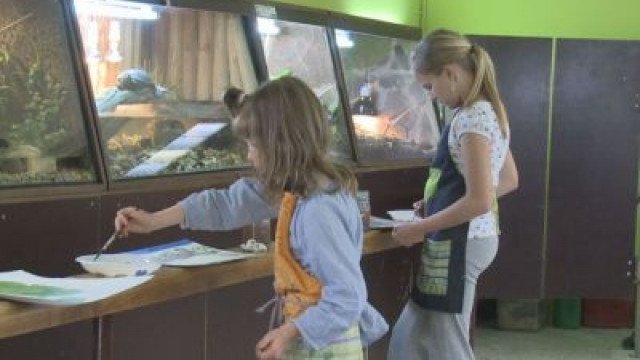 Živali na platnu – likovna delavnica ZGNL