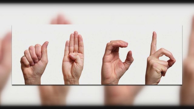 Informacije javnega značaja v slovenskem znakovnem jeziku