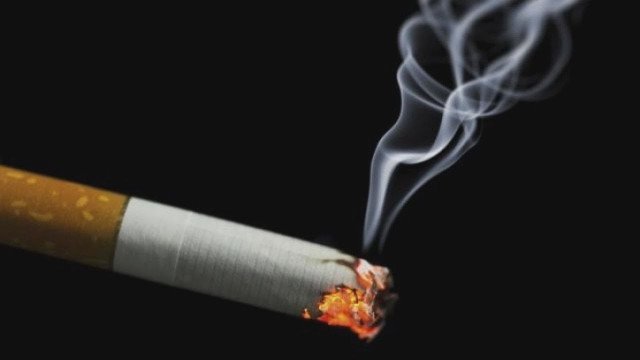 31. januar – Dan brez cigarete