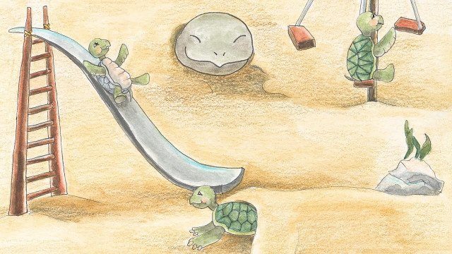 Deni Kragelj, Življenje v morju: Vrtec želv