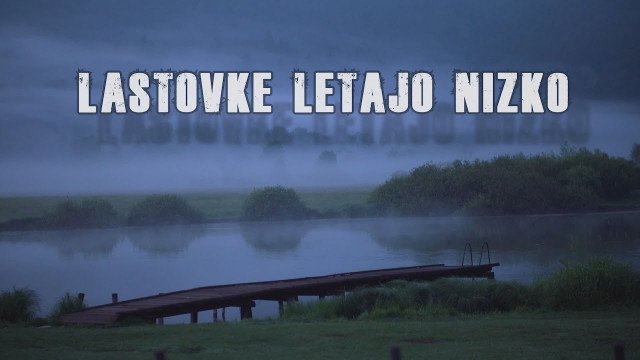 Film: Lastovke letajo nizko (2018)