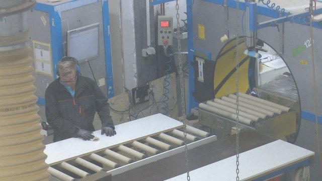 Zaposlovanje gluhih in naglušnih: v svetu tišine in dela