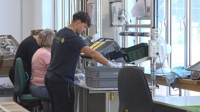 Dobrovita – trideset let vključevanja